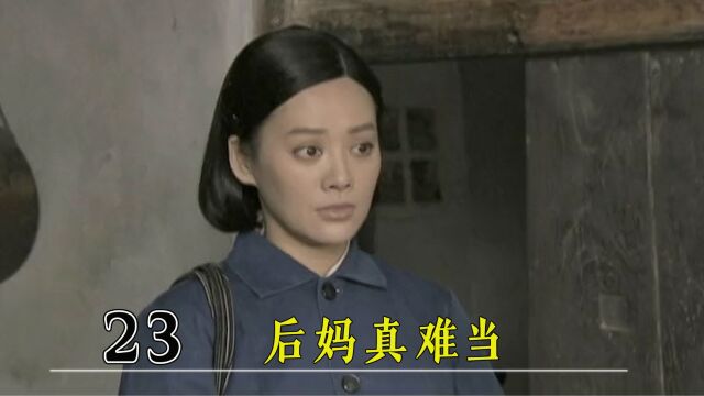 后妈总有操不完的心,拿全部家当给继子盖房,亲妈却一把火给烧了!