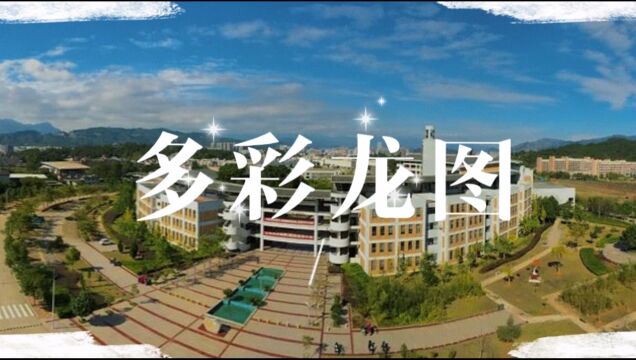 多彩龙图 | 相约在夏日