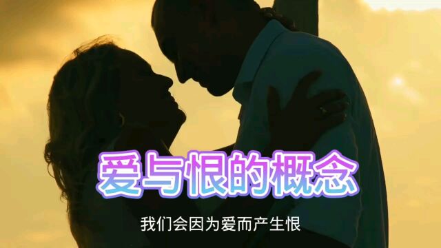 爱与恨的概念