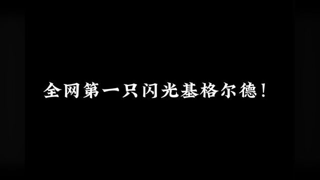 这绝对是全网第一只基格尔德! #口袋妖怪 #精灵宝可梦 #宝可梦