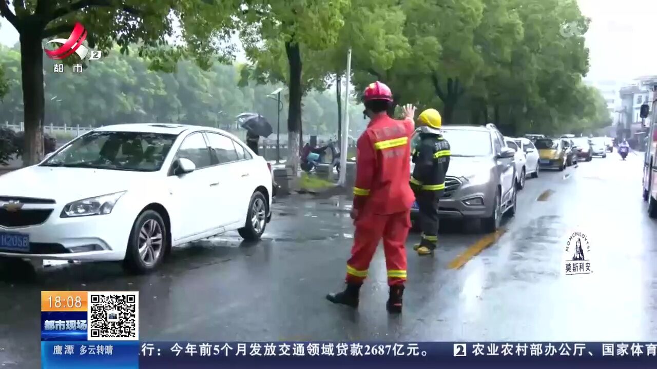 南昌青山湖:大树倾倒堵路 路过的“蓝朋友”化身“伐木工”