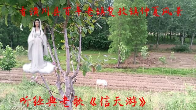 人先点滴:美丽的潢川县踅孜镇仲夏风景