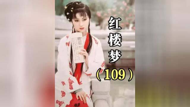 红楼梦第109集丨抄检大观园,探春一巴掌扇王善保家的,观众解气叫好