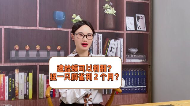 逮蛤蟆可以判刑?捉一只麻雀判 2 个月?#法律咨询 #法律知识 #刑事律师