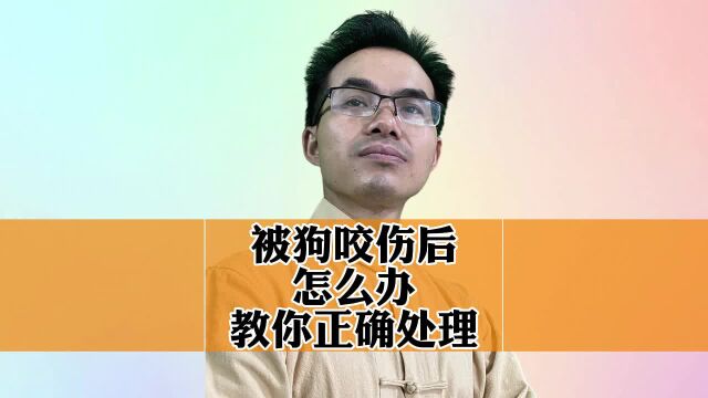 狗狗咬伤后怎么办?教你正确处理.