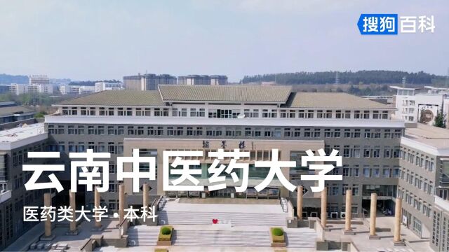 云南中医药大学:崇德和合,博学敦行