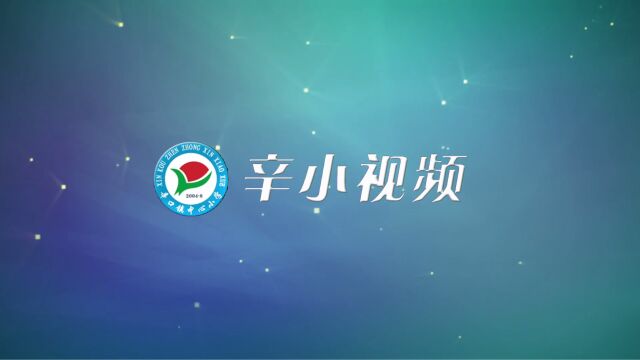 辛口镇中心小学2023届毕业生电子相册