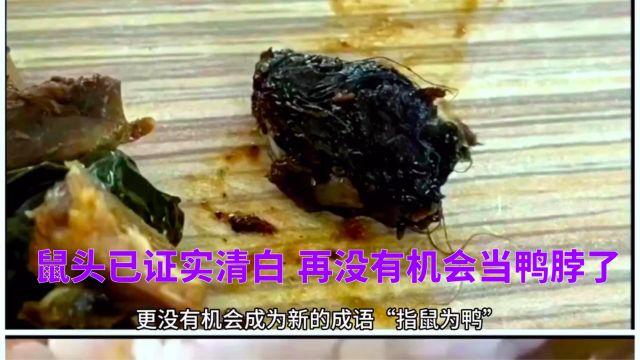 江西某学校食堂的“鼠头鸭脖”事件真相大白,鼠头终于“沉冤昭雪”以后不用再做鸭脖了