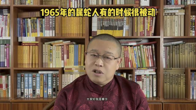 十二生肖运势:1965年的属蛇人怎样?1965年的属蛇人有时很被动