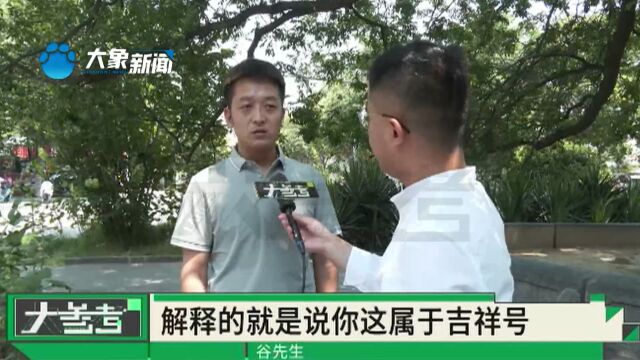 河南新密:联通办固定电话过户,需预存3000元话费?男子:感觉给我设了个门槛