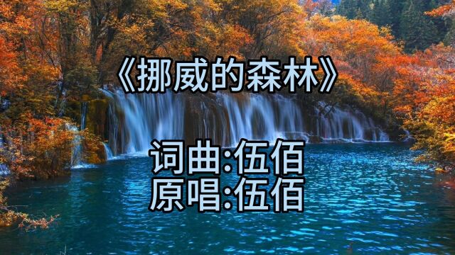 怀旧金曲伍佰《挪威的森林》熟悉的旋律,歌单神曲