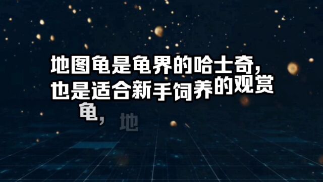 地图龟是龟界的哈士奇,也是适合新手饲养的观赏龟,地图龟有13种