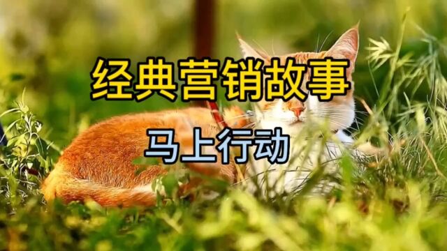 经典营销故事,马上行动