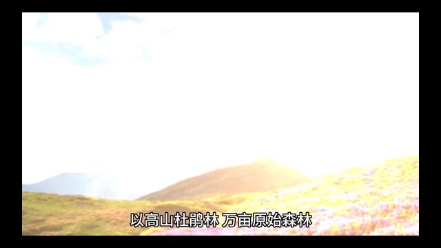 嵩县白云山的风景5