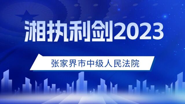 张家界中院召开全市法院“湘执利剑2023”专项执行工作情况新闻发布会