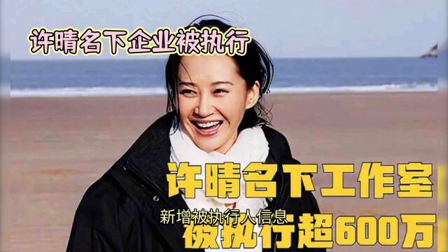 许晴名下企业被执行