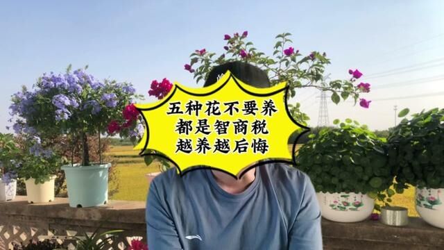 这五种花不能养,都是“智商税”,越养越后悔