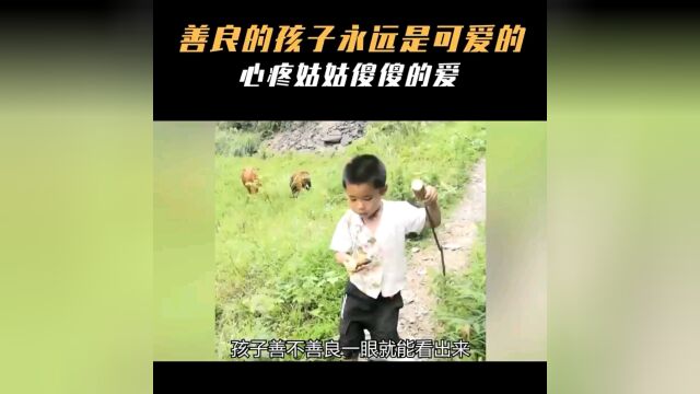 善良的孩纸