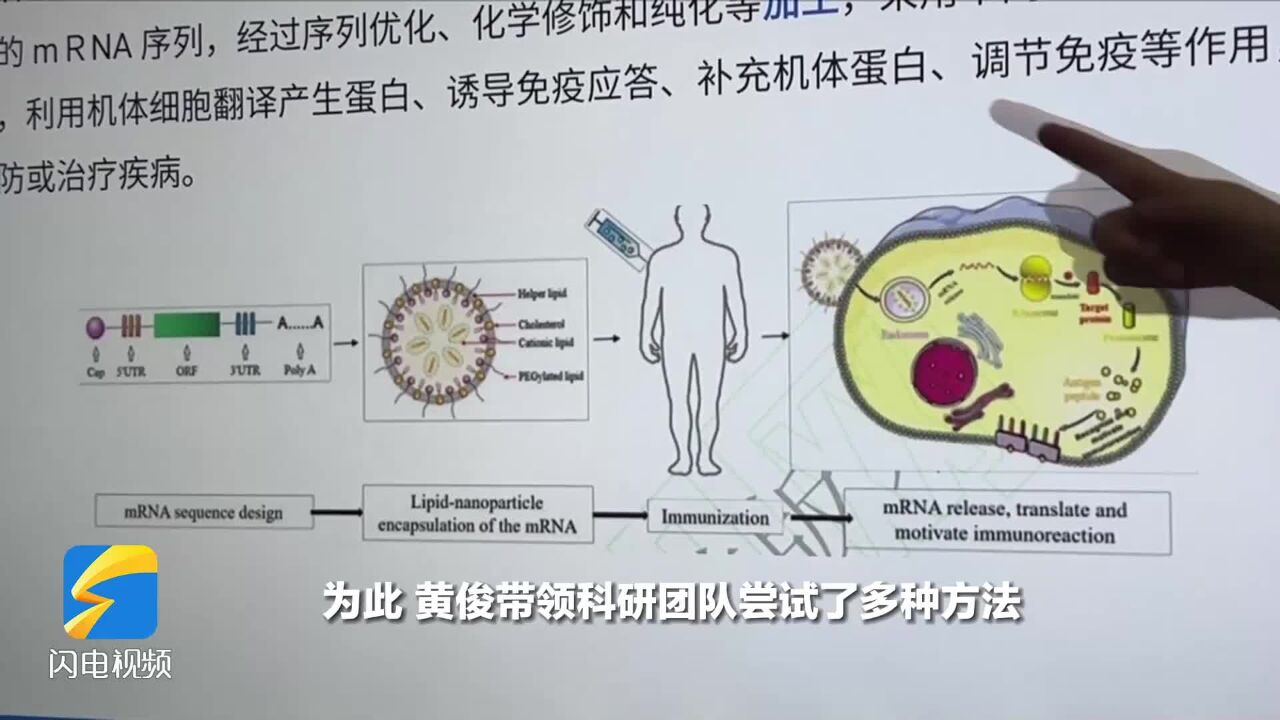 解决“卡脖子”问题!山东生物医药企业攻克信使核糖核酸重要技术难关