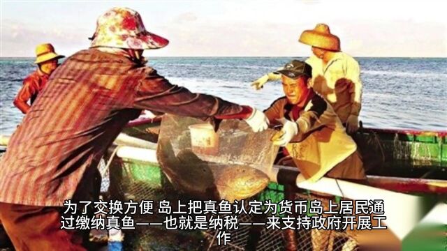 《小岛经济学》鱼、美元和经济的故事