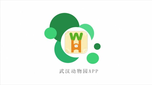 app作业视频展示