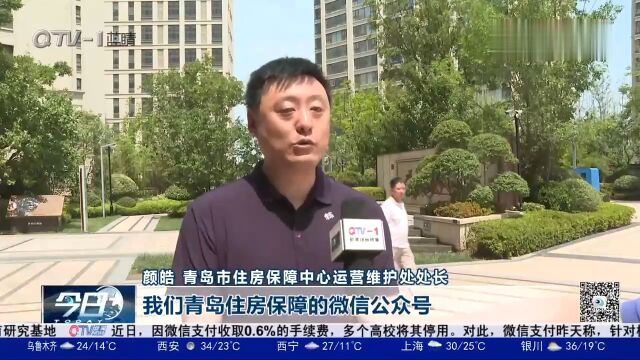 降门槛+提标准!青岛人才住房新政,打出招才引智“组合拳”