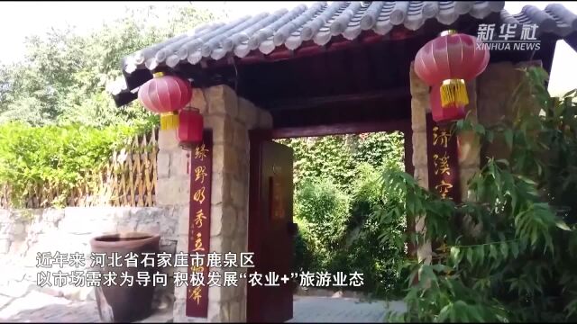 石家庄市鹿泉区:特色产业助振兴