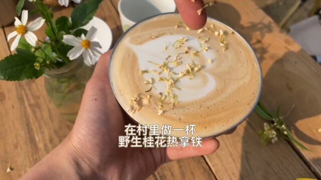 在村里做一杯野生桂花拿铁4杯份比乐蒂,一次做3杯,满足乡村名媛下午茶聚会#自制饮品 #一杯咖啡的快乐 #乡村生活家 #今天你喝咖啡了吗