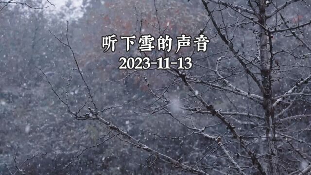 20231113听下雪的声音,武隆仙女山