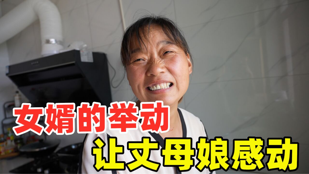 丈母娘从新疆回老家,女婿出钱买机票,宁坐火车不坐飞机,真揪心