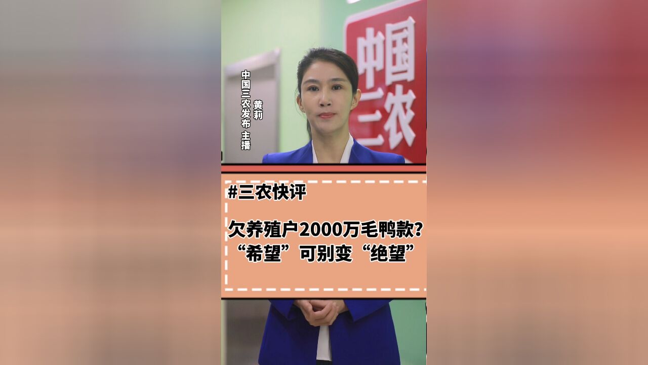 三农锐评丨欠养殖户2000万毛鸭款? “希望”可别变“绝望”!