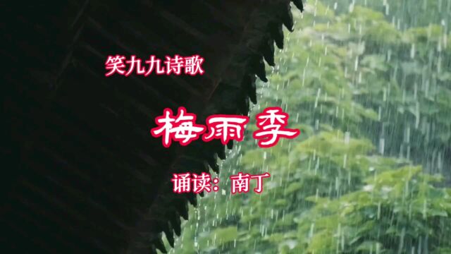 笑九九诗歌《梅雨季》诵读:南丁