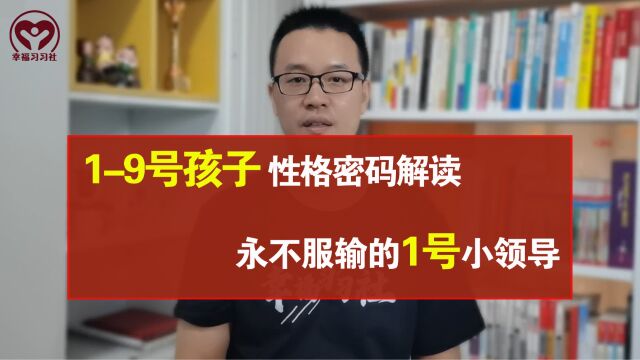 生命密码中,19号孩子性格密码解读,永不服输的1号小领导