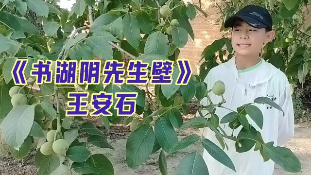 品国学经典(103)《书湖阴先生壁》王安石