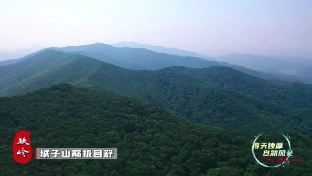 大美鹿乡西丰 诚邀八方来客