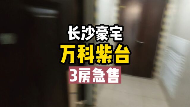 南郊公园旁 湘江边 中国十大豪宅之一 一线湘江江景房 万科紫台大三房豪宅急售