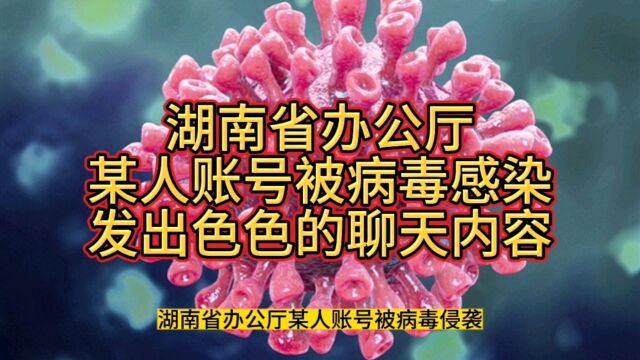 湖南省办公厅某人账号被病毒侵袭,发出色色的聊天内容