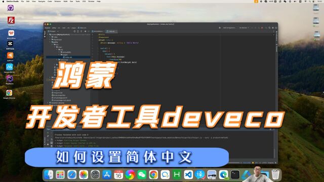 来喽来喽,鸿蒙开发者工具deveco如何设置简体中文