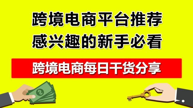 1.跨境电商平台推荐,感兴趣的新手必看