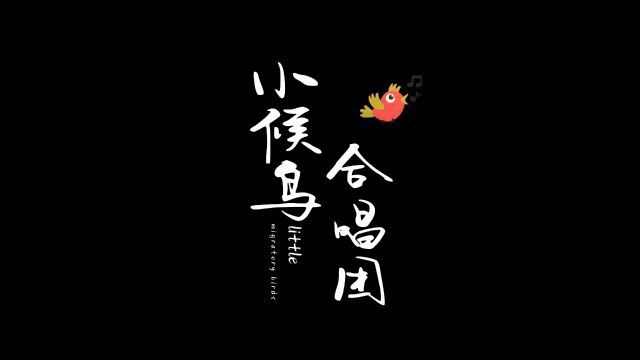 原创歌曲《候鸟》背后的故事