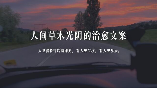 人间草木光阴的治愈文案丨“人间本不该令我欣喜的,但是你来了”