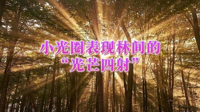 小光圈表现林间的“光芒四射”