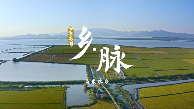 安徽芜湖|乡脉ⷥ’Œ美乡村万里行