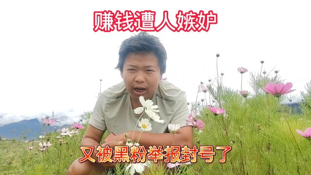 自媒体赚钱遭人嫉妒,打工娃被黑粉举报封号,彻底崩溃