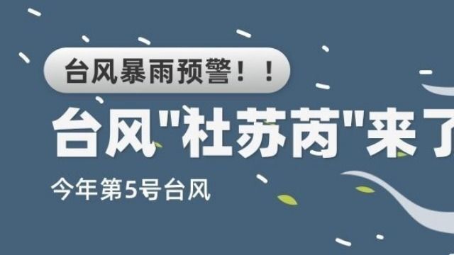 今年第5号台风“杜苏芮”来了,会有哪些商机?(上)