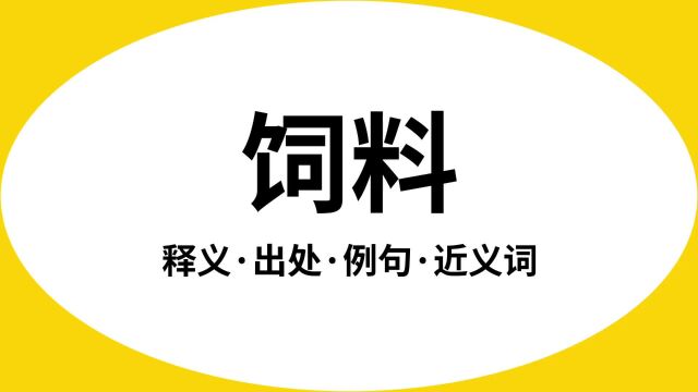 “饲料”是什么意思?