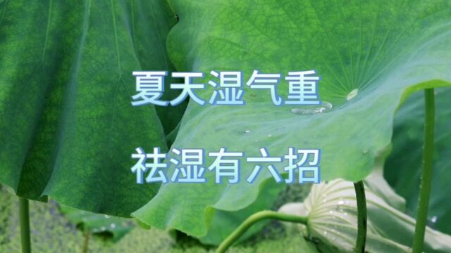 夏季湿气重,祛湿第三第四招:运动祛湿和穴位按摩祛湿