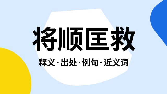 “将顺匡救”是什么意思?