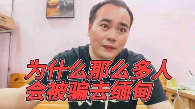 为什么那么多人会被骗到缅甸从事诈骗,都是钱做的怪