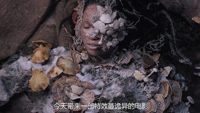 女人误闯神秘森林后,竟被真菌吞噬,最后......#动作电影 #科幻电影 #盖亚